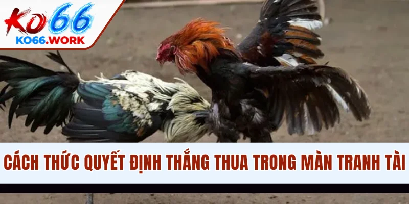 Cách thức quyết định thắng thua trong màn tranh tài