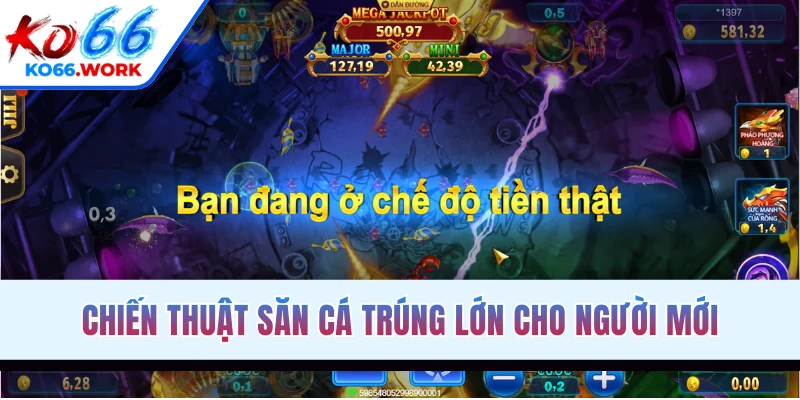 Chiến thuật săn cá trúng lớn cho người mới