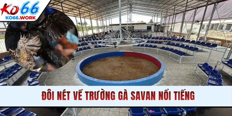 Đôi nét về trường gà Savan nổi tiếng