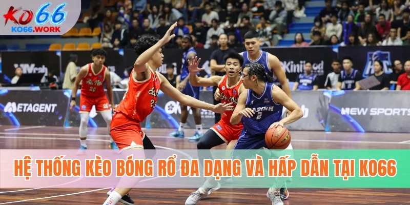Hệ thống kèo bóng rổ đa dạng và hấp dẫn tại KO66