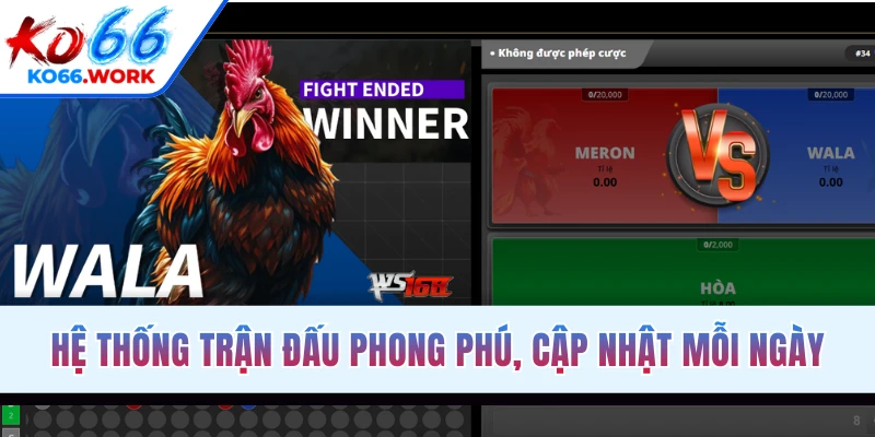 Hệ thống trận đấu phong phú, cập nhật mỗi ngày