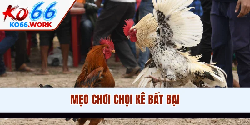 Mẹo chơi chọi kê bất bại