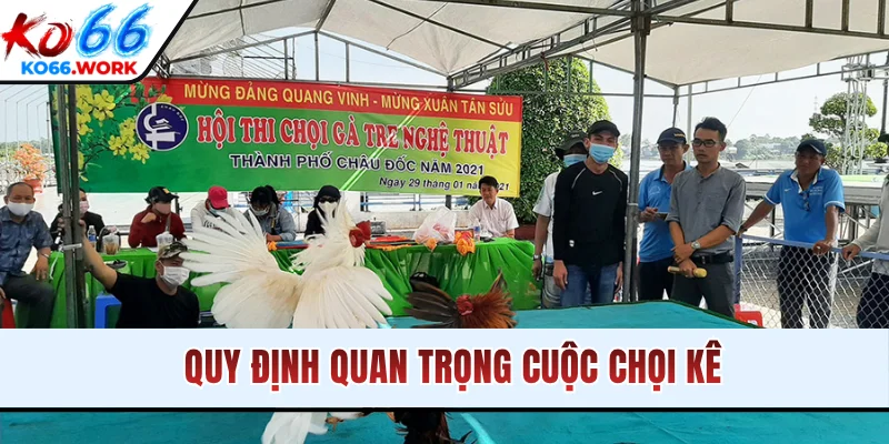 Quy định quan trọng cuộc chọi kê