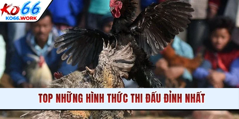 Top những hình thức thi đấu đỉnh nhất